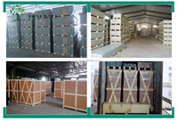 Carreaux de terrasse en WPC à emboîtement durables et écologiques pour l'extérieur Revêtement de sol en teck co-extrudé en bois massif composite plastique imperméable