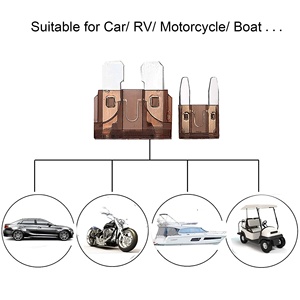 250 pcs loại lưỡi dao loại ô tô tiêu chuẩn kích thước nhỏ nhựa 250V cầu chì thay thế xe cầu chì <span class=keywords><strong>Kit</strong></span> cho - Product Image 4