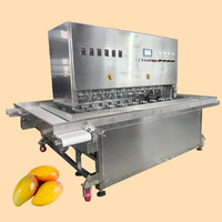 Automatische Mango Schilmachine Roestvrijstalen Fruit Schil Verwijderingsmachine