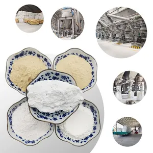 ベントナイト粘土粉末工業用グレード漂白アース粉末置換活性炭アトラパルジャイト
