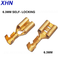 Connecteurs Femelles en Laiton 6,3 mm, Bornes à Sertir Modèle DJ622-6.3 230V pour Câbles Électriques d'Enceintes de Voiture Faston STO-21T-250N/STO-61T