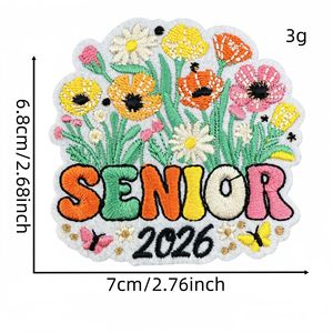 Parches de tela no tejida termoadhesivos bordados con diseño de Graffiti colorido, con temática de Graduación del Año del Caballo 2026, para prendas, sombreros y bolsos - Product Image 6