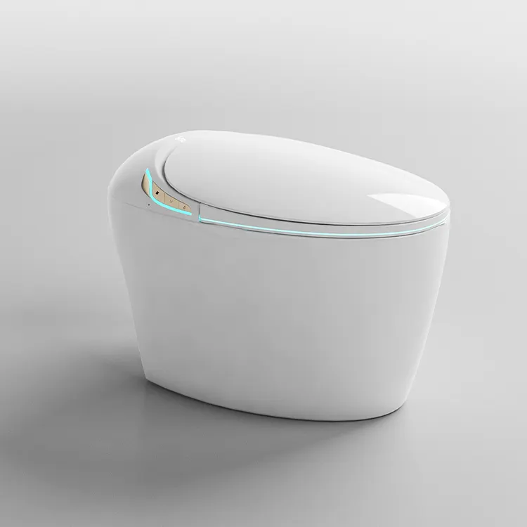 Luxury Smart Egg Sanitizing Toilet Electronic Bidet Ceramic Floor mounted Toilets