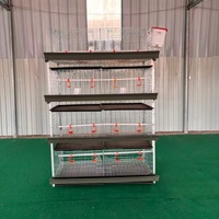 Offre Spéciale : Poulailler à 4 Niveaux Type H pour 80 Poulets – Élevage Avicole en Batterie