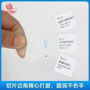 Ten types of <b>microscopic</b> specimens for cell biology experiments, freshly stained, classic teaching slides. - Product Image 2