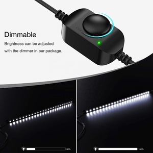 Bộ Dây Đèn Led Gắn Trên Sân Thượng Ngoài Trời Chống Nước IP68 Chống Thấm Nước 4 5 6 Thanh Bọ Màu Trắng Và Hổ Phách - Product Image 2