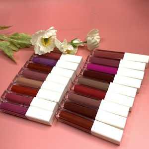 Harian kehidupan kustom grosir Label pribadi massal <span class=keywords><strong>Lip</strong></span> Gloss kosmetik mewah lipstik cair tahan air tabung putih <span class=keywords><strong>Lipgloss</strong></span> Matte - Product Image 3