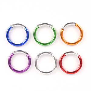 High Quality 38mm Colorful Custom Logo Carabiner Clip Aluminum Alloy Round Shaped Carabiner