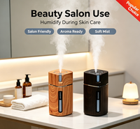 Humidificateur portable diffuseur d'arômes à faible bruit et grande capacité, effet bois, pour usage domestique et commercial – Vente en gros