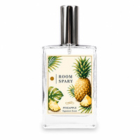 Diffuseur de parfum de luxe, parfum de marque privée, 100 ml, spray d'ambiance, parfum d'intérieur, flacon en verre, parfum longue durée