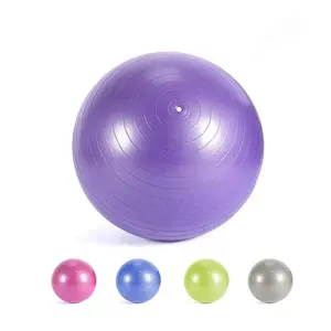 High Quality Massage Exercise Balls Accessories Gym Yoga Pvc Ball Sex Toy Ball