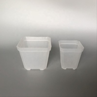 Mini Petit Carré Peu Profond Noir Blanc Clair Transparent Plastique Pot de Fleur Jardinière pour Plantes, Pépinière, Semis et Succulentes
