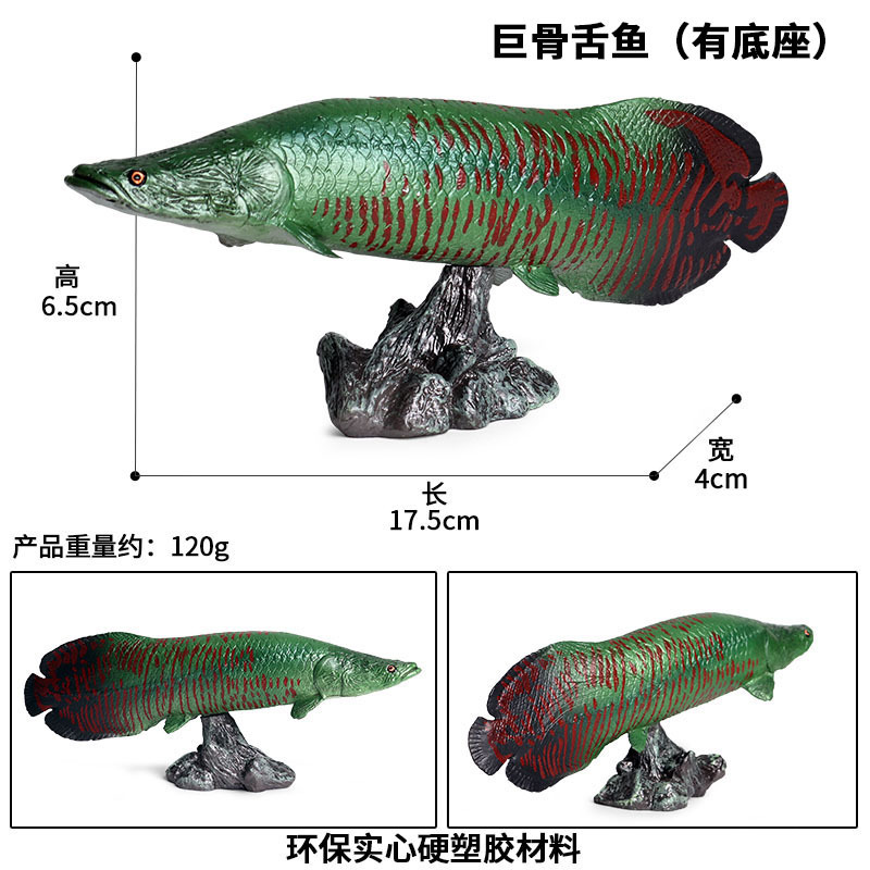 M-1036 Arapaima (avec socle)