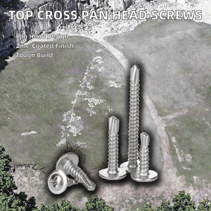 Tornillos Autorroscantes de Cabeza Cruzada Métrica de Acero C1022 de Alta Calidad, Fábrica en Vietnam - Product Image 2