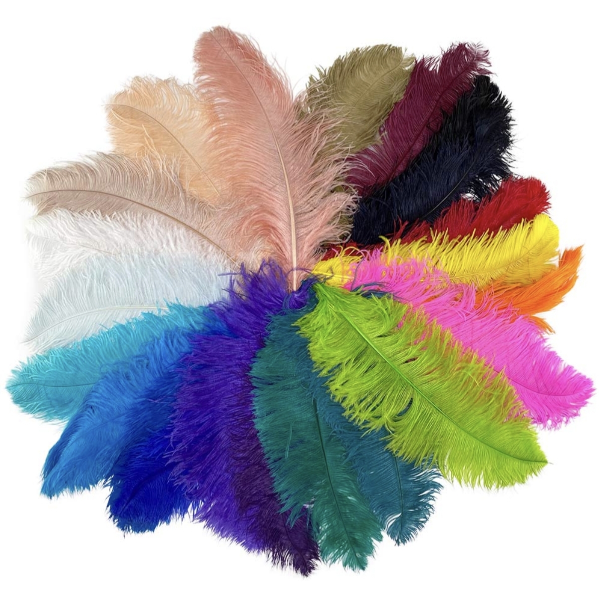 Colori