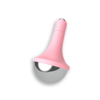 Rouleau de massage facial en acier inoxydable/ABS de qualité supérieure, couleur et logo personnalisables, outil de soin de la peau du visage et des yeux, FCA