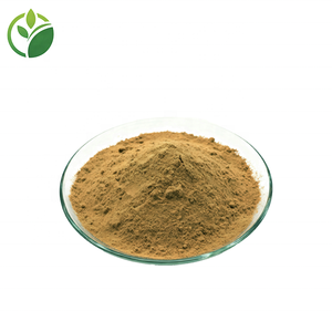 Harga grosir bubuk zaitun alami bubuk buah zaitun produk perawatan kesehatan bubuk buah zaitun ekstrak daun zaitun - Product Image 3