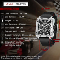 Montre Homme PAGANI DESIGN en Promotion – Luxe, Tendance, Boîtier Carré Creux, Mouvement Mécanique Automatique, Aiguilles Lumineuses, Étanche 1725