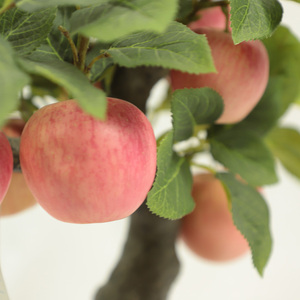 Nhà Máy Bán Buôn trong nhà Mini Bonsai Cây Táo cây nhân tạo nhựa cây ăn quả cây táo - Product Image 5