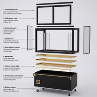 Vitrine à gâteaux de luxe avec cadre doré à 3 niveaux, ouverture frontale et design personnalisé