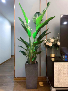 Vaso per Piante Moderno Leizisure con Finitura Lucida, Quadrato, Piccole Dimensioni, per Ufficio, Soggiorno, Scrivania, Cucina e Giardino - Product Image 5