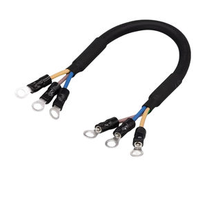 RV2-4 터미널 와이어 모터 드라이브 배선 하네스 소형 기기 내부 와이어 2핀 적흑색 전자 와이어 - Product Image 1