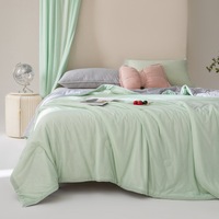 Couette Rafraîchissante d'Été Effet Glacé Couleur Unie Fibre Rafraîchissante Climatisation Fine Lavable en Machine Moderne Minimaliste Vente en Gros