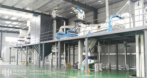 Linea di produzione completa linea di lavorazione del prodotto agricolo grano rimuovere la pulizia della pietra smistamento rivestimento e linea di imballaggio - Product Image 6