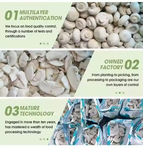 Kit de culture en usine de champignons pleurotes séchés, certifié BRC, personnalisable, prix usine, Pleurotus Ostreatus <span class=keywords><strong>surgelé</strong></span> - Product Image 4