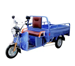 Heavy duty cargo electric tricycle factory direct sale cheap affordable economic electric tricycle 3000w