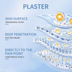 무릎 및 등 관절염 관절 통증 완화 젤 관절 통증 웰빙 패치를위한 베스트 셀러 허브 중국어 석고 - Product Image 5