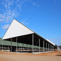Nave prefabricada de estructura de acero ligero de China para ganado ovino, caprino y otros animales, diseño de taller y establo.