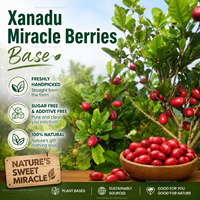 Baies de miracle fraîches, fruit chinois Synsepalum Dulcificum, superfruits riches en miraculine, adaptés aux diabétiques, modificateur de sucré