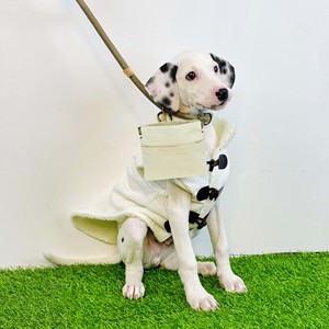 Free sample Custom Moisture Proof Flat Bottom Flexible Plastic <b>Pouch</b> Animal Feed Bag Pet Food Packaging <b>Dog</b> Treat Zipper Bag - Product Image 4