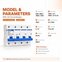 Disjoncteur MCCB de type NXB-125 C 63A 80A 100A 125A avec protection contre les surcharges et les courts-circuits pour la distribution terminale – Approvisionnement direct usine