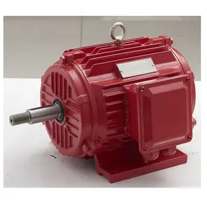 Motor Manufacturer Fast Delivery IE1 IE2 IE3 Cast Iron 3 Phase Induction Electric AC Motor