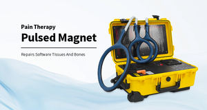 Pferde-Gesundheitspflege Physiotherapie Magnetisches Gerät Knochen-Rehabilitation Schmerzfreies Gerät Muskelentspannung Verletzungshilfe - Product Image 3