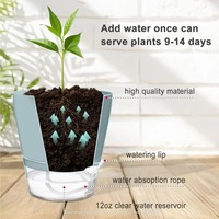 Pot de fleurs auto-arrosant avec réservoir transparent en plastique, pots à fleurs absorbants l'eau automatiquement pour plantes, décoration de la maison et du bureau