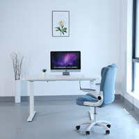 Mécanisme de levage électrique 2B2 à faible bruit Table de bureau motorisée à hauteur réglable Mobilier de bureau Bureaux en métal moderne 1000N