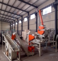 Machine de traitement de noix de macadamia, de pistaches et de noix de cajou de haute qualité de la marque Anhi, 380V, pour usine de transformation des légumineuses