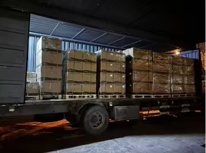 Nieuwe Model HV Hoge Spanning Batterij 51.2V 100AH 5.12KWH IP20 BOS-G-PDU-2 3U-HRack 50kWh Rack Energieopslagbatterij - Product Image 6