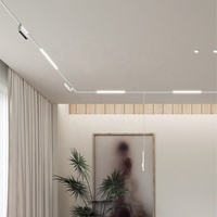 Rail magnétique blanc, noir, or de 20 mm, rail de suivi en aluminium, grille LED, spot lumineux 3W-20W DC48V, garantie 5 ans, salon, CB CE