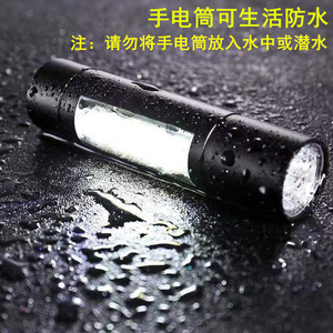 Lámpara con filtro UV, batería 14500 de 500 mAh para la detección de hongos en gatos, herramienta de diagnóstico veterinario - Product Image 4