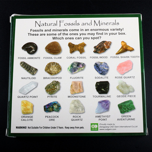 Vente en gros de boîtes de cristaux naturels bruts, collection de minéraux, boîte cadeau - Product Image 3