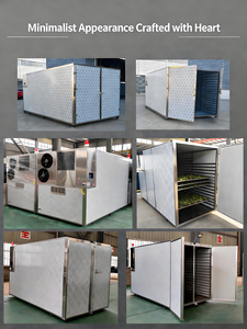 Secador de Frutas por Congelación para Recuperación de Tierras, Secador de Frutas Comercial, Secador de Frutas Industrial - Product Image 6