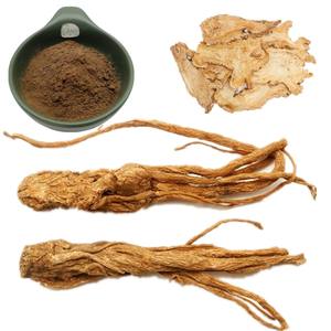 Экстракт корня Донг Куай (Angelica Sinensis) пищевого качества, лигустилид 1%, порошок экстракта 10:1, корень Донг Куай (Radix Angelicae) - Product Image 4