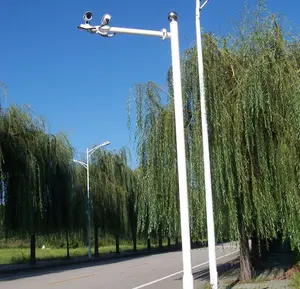 3 metri di illuminazione per esterni luce di via palo di montaggio fotocamera