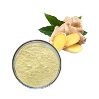 Extrait de gingembre biologique en poudre, gingérols standardisés, extrait de gingembre biologique pour produits nutraceutiques