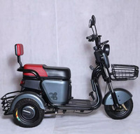 Mini tricycle électrique à trois roues pour passagers, vélo cargo, batterie amovible, tricycles pour adultes, scooter électrique à trois roues
