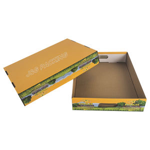 Caja de cartón corrugado duradera de 3 capas tipo <span class=keywords><strong>B</strong></span> para exhibición de latas de cerveza y bebidas, lista para envío, con orificio para el transporte. - Product Image 4